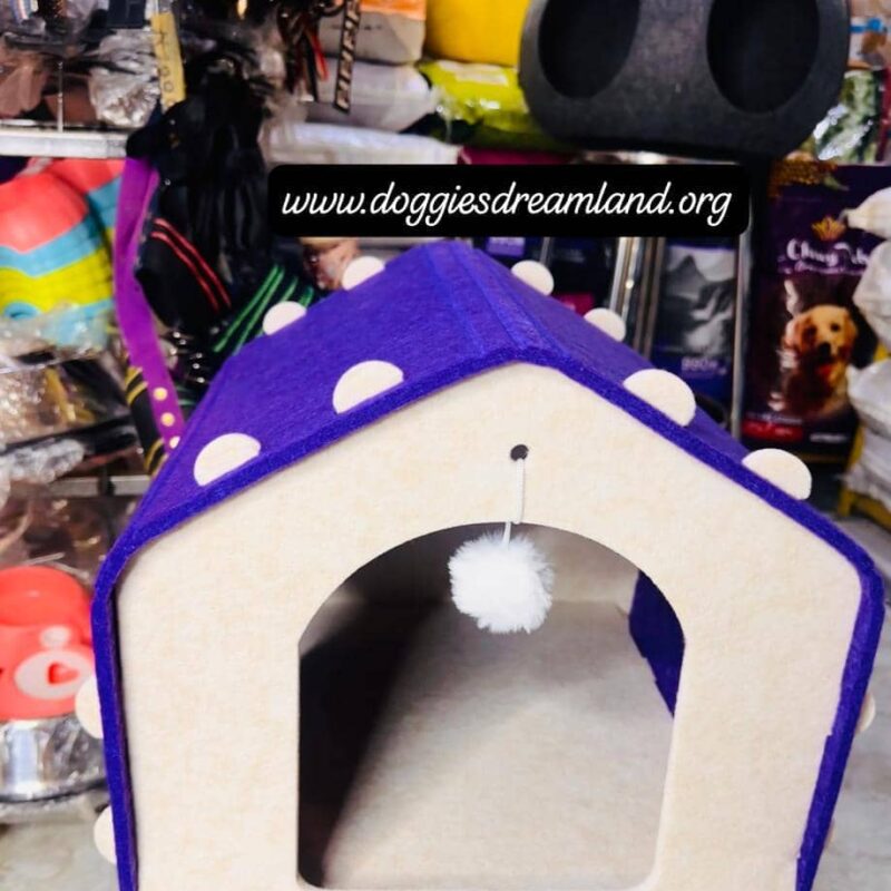 Cat House Single Lay
